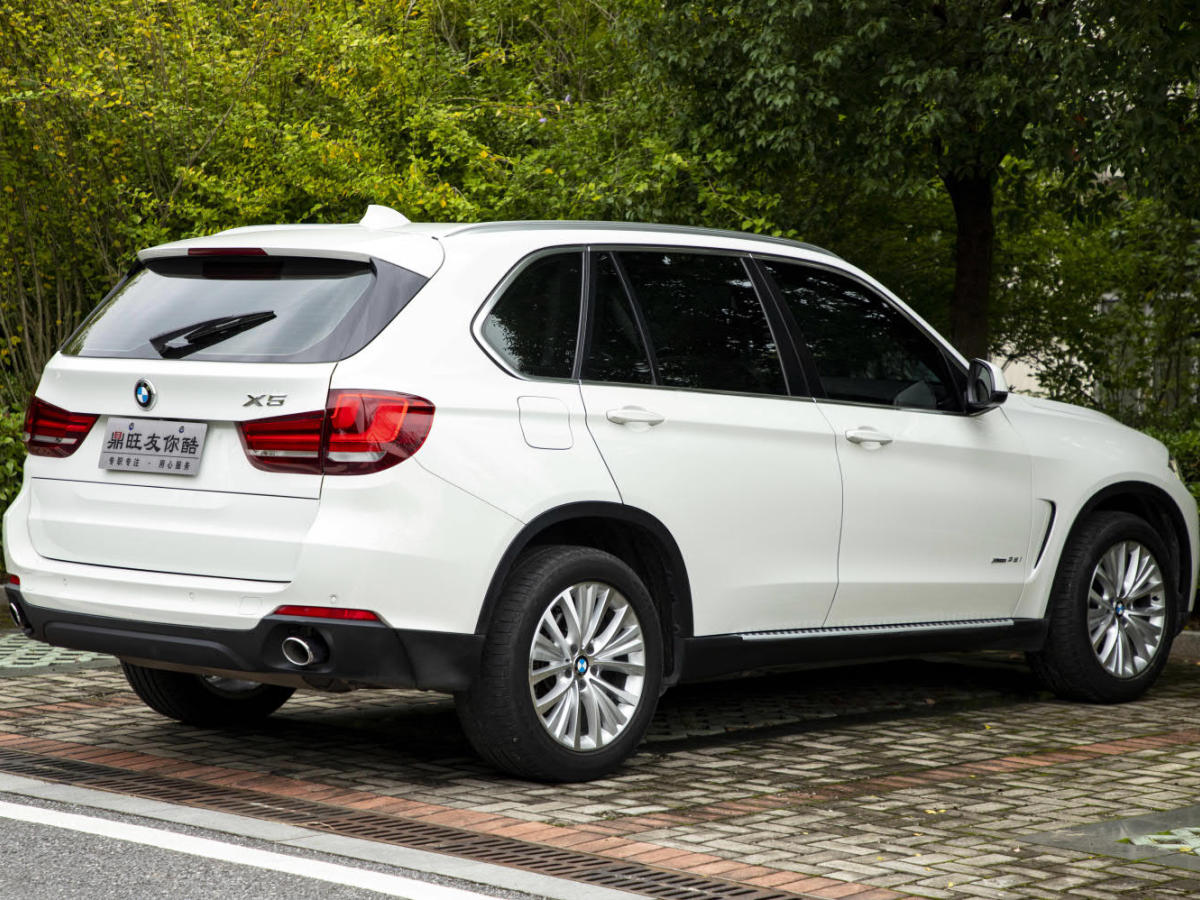 寶馬 寶馬X5  2014款 xDrive35i 典雅型圖片