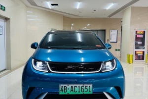 海豚 比亞迪 405km 時尚版
