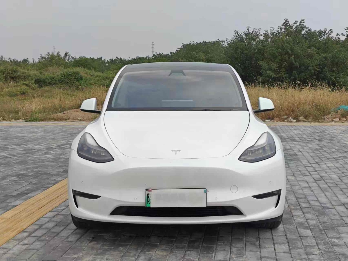 特斯拉 Model Y  2020款 改款 長續(xù)航后輪驅(qū)動版圖片