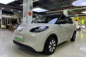 五菱繽果PLUS 五菱 330km 五座版