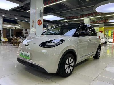 2024年9月 五菱 五菱繽果PLUS 330km 五座版圖片