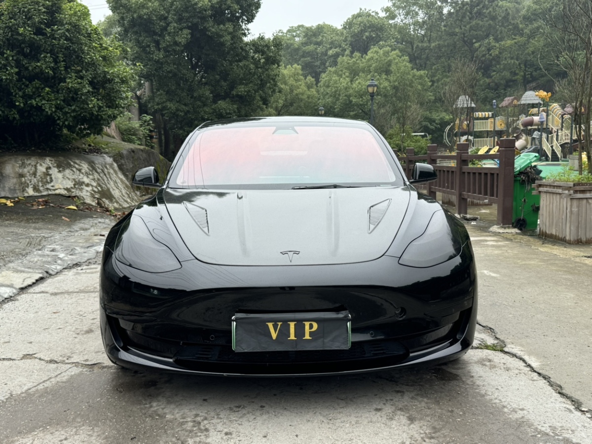 特斯拉 Model 3  2021款 標準續(xù)航后驅(qū)升級版 3D6圖片
