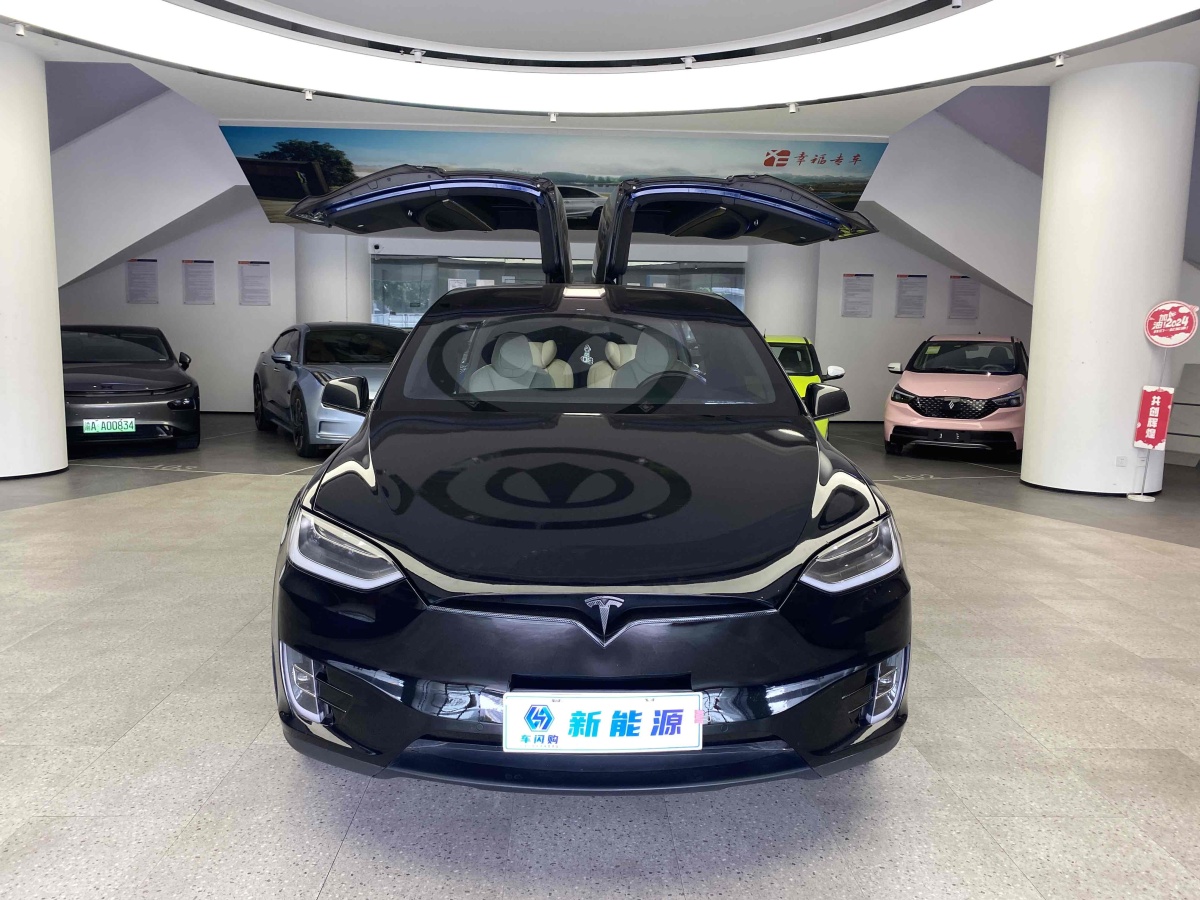 特斯拉 Model X  2017款 Model X 100D 長續(xù)航版圖片