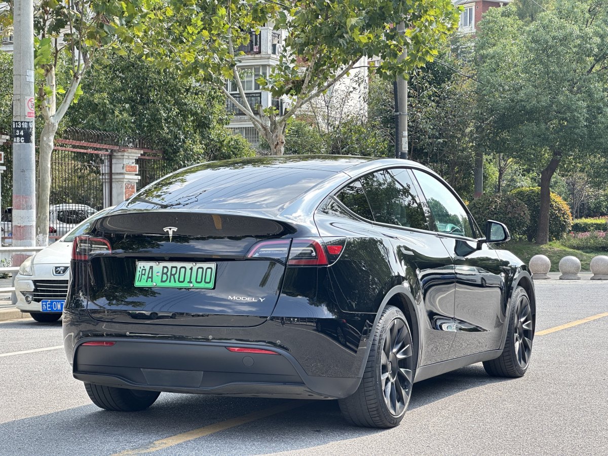 特斯拉 Model Y  2020款 改款 長續(xù)航后輪驅(qū)動版圖片