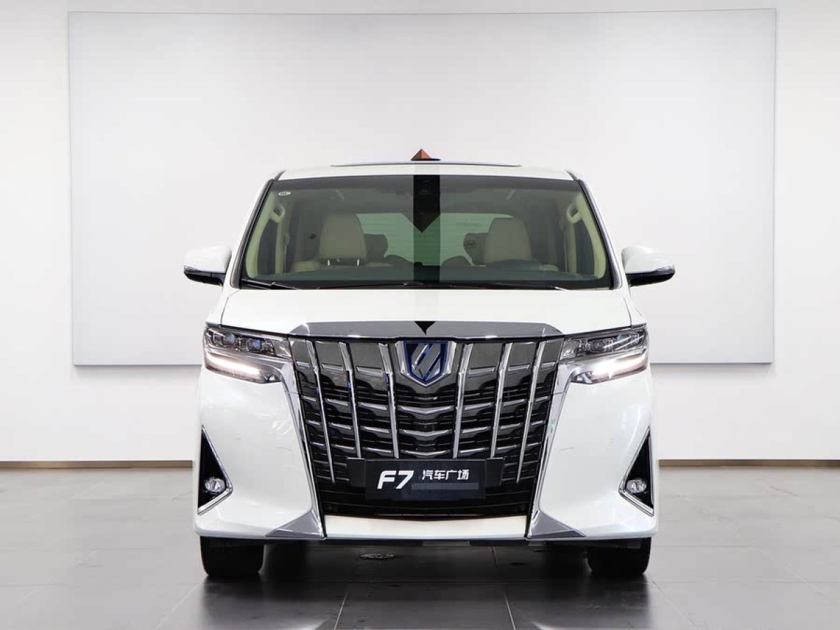 豐田 埃爾法  2021款 雙擎 2.5L 尊貴版圖片
