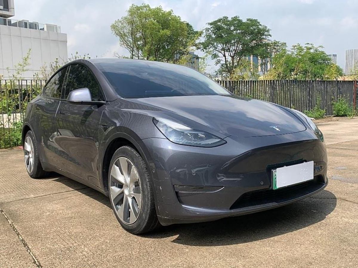 特斯拉 Model Y  2021款 改款 長續(xù)航全輪驅(qū)動(dòng)版圖片