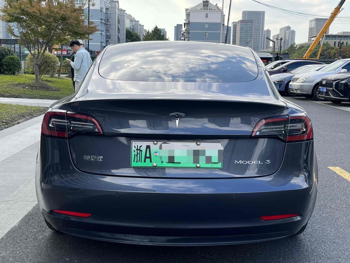 特斯拉 Model 3  2019款 標準續(xù)航后驅(qū)升級版圖片