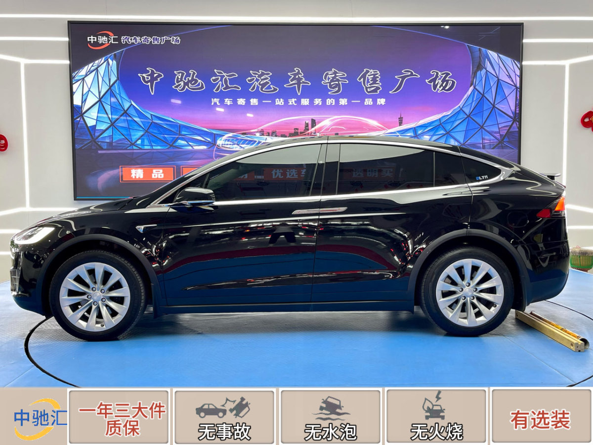 2019年3月特斯拉 Model X  2017款 Model X 100D 長(zhǎng)續(xù)航版