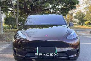 Model 3 特斯拉 Performance高性能全輪驅(qū)動版