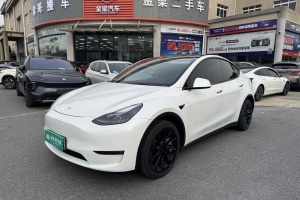 Model Y 特斯拉 長續(xù)航全輪驅(qū)動版 3D7