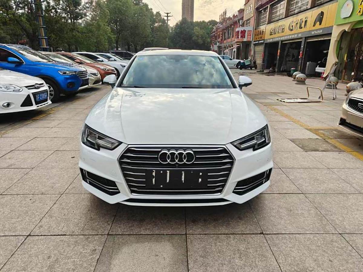 奧迪 奧迪A4L  2019款 40 TFSI 進取型 國VI圖片