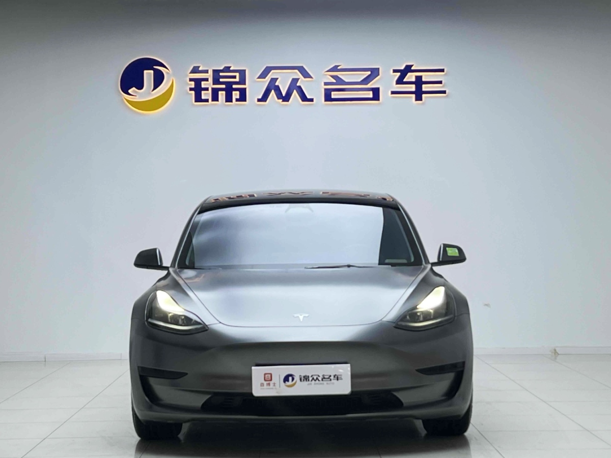 特斯拉 Model 3  2019款 Performance高性能全轮驱动版图片