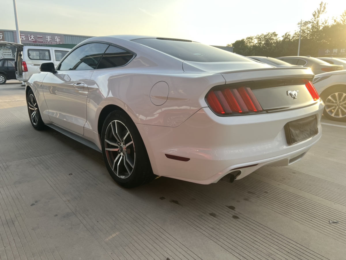 福特 Mustang  2016款 2.3T 運動版圖片