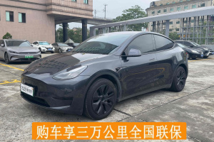 Model Y 特斯拉 后輪驅(qū)動(dòng)版
