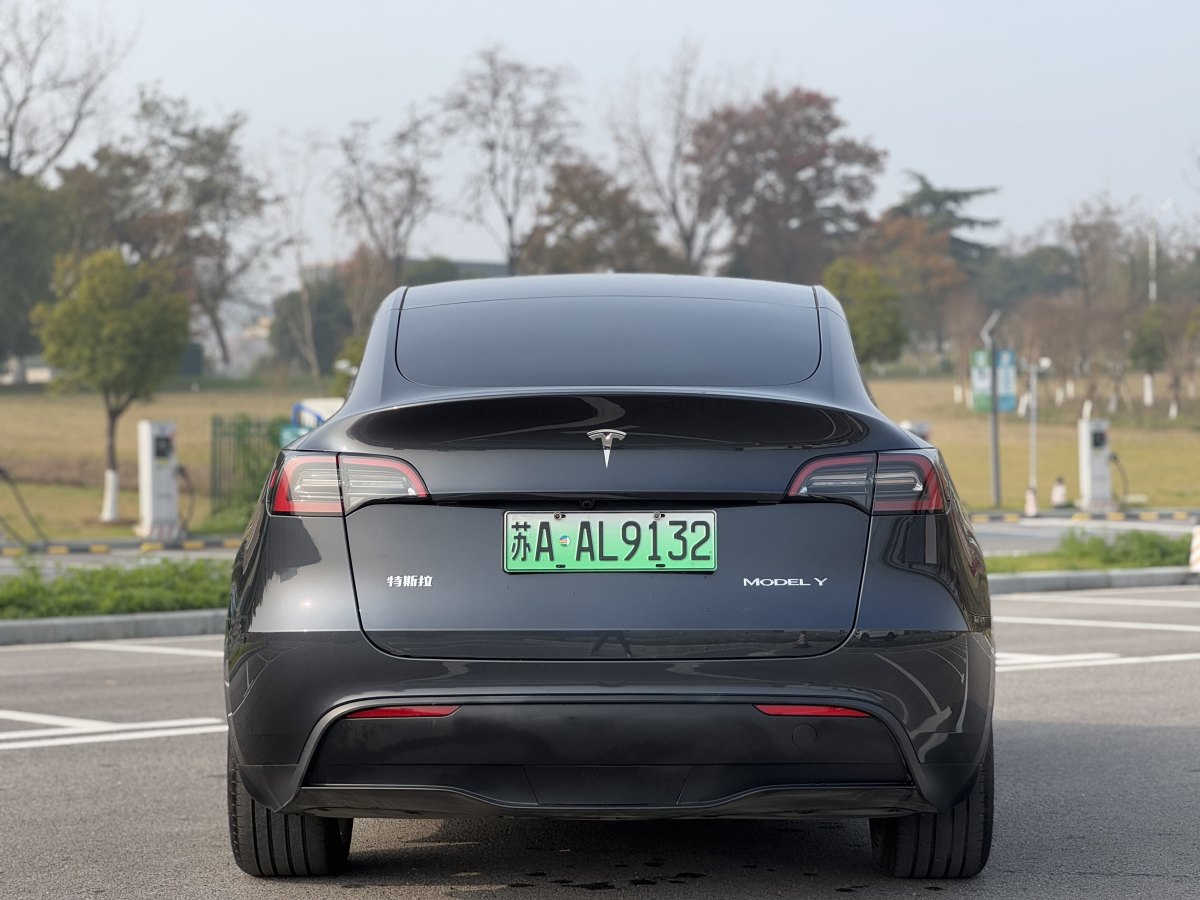 特斯拉 Model 3  2020款 改款 長續(xù)航后輪驅(qū)動版圖片