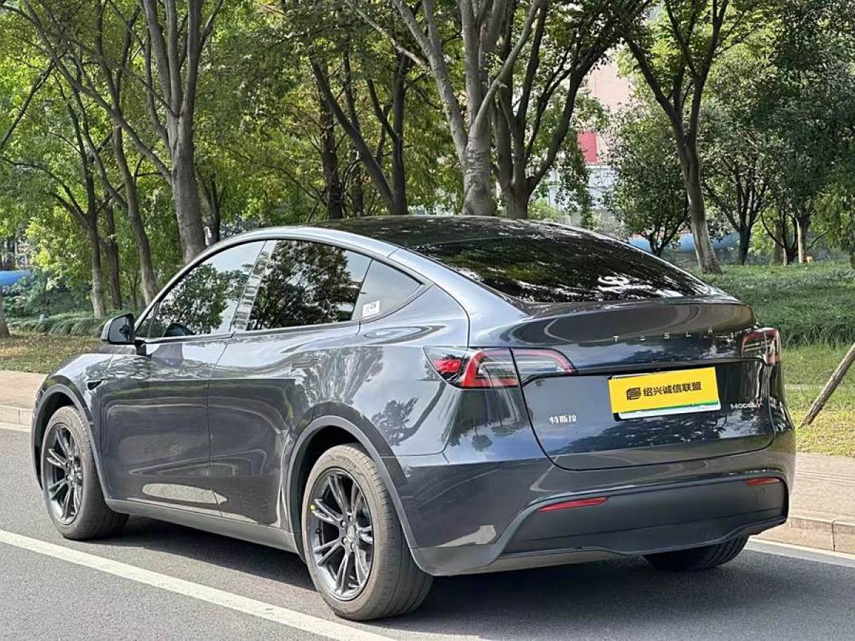 特斯拉 Model Y  2023款 煥新版 后輪驅(qū)動圖片