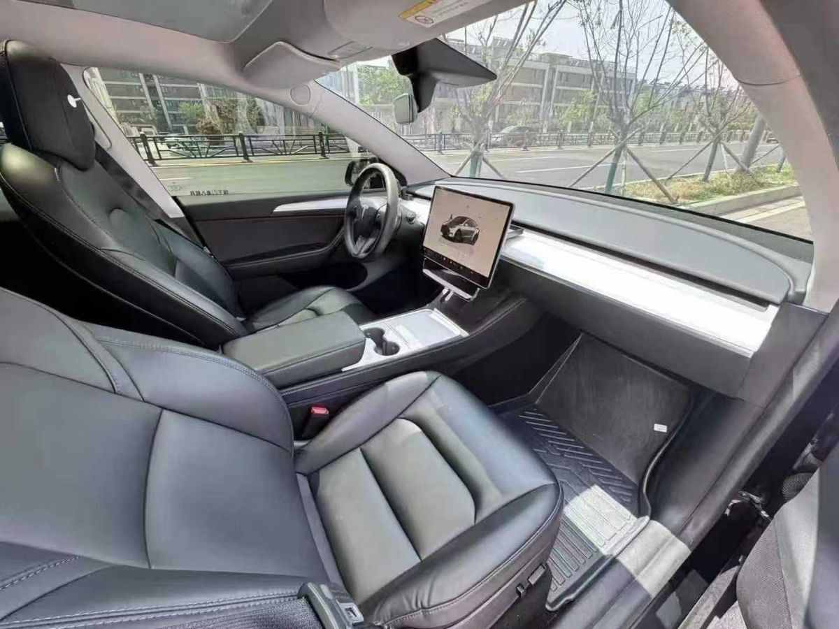 特斯拉 Model Y  2022款 Performance高性能全輪驅(qū)動(dòng)版圖片
