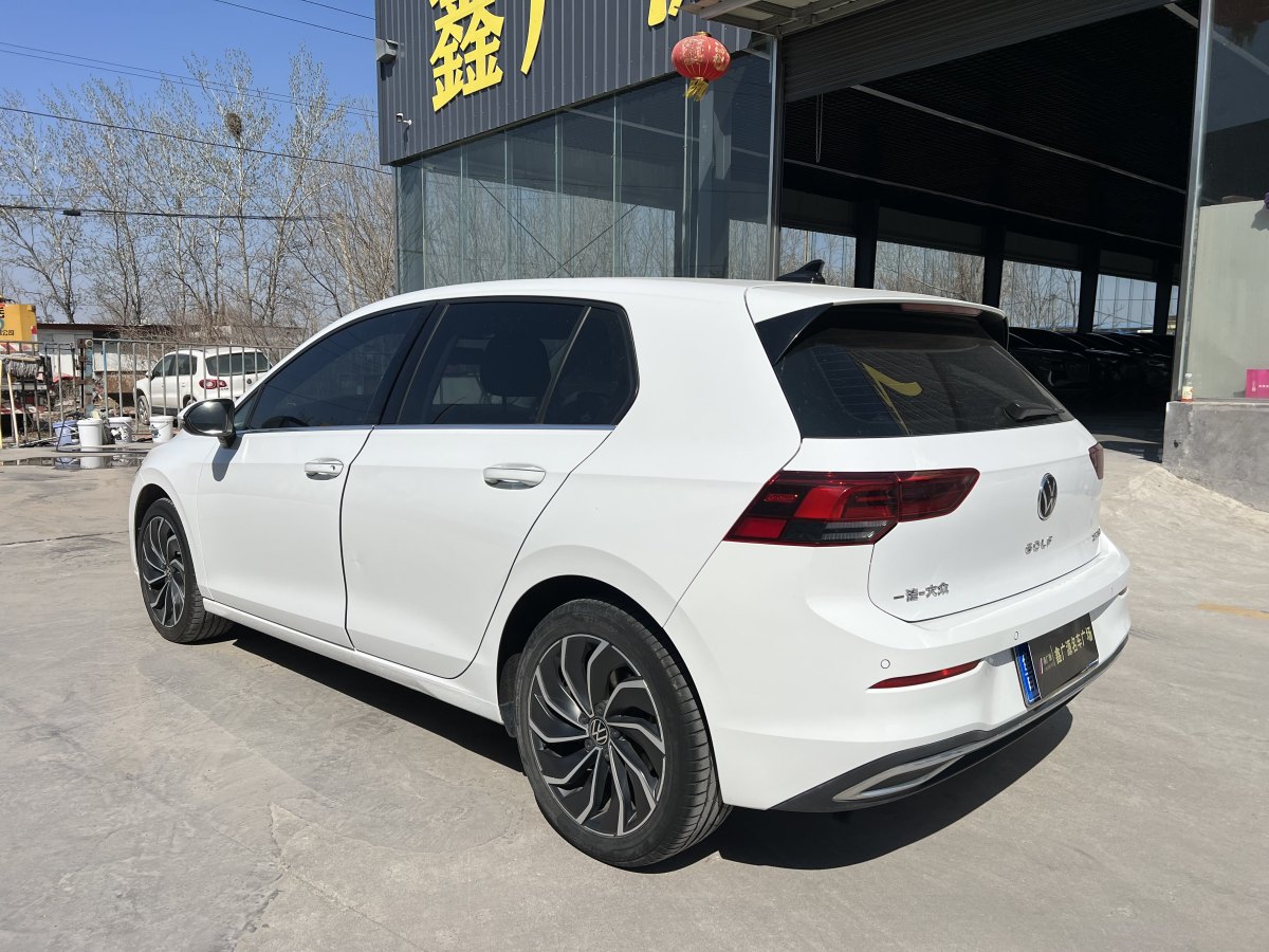 大眾 高爾夫  2021款 280TSI DSG Pro圖片