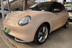 歐拉好貓 歐拉 莫蘭迪版 400km標(biāo)準(zhǔn)續(xù)航 豪華型 磷酸鐵鋰