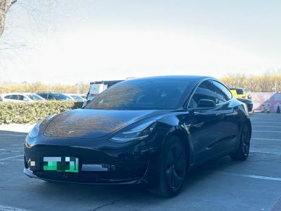 2020年4月 特斯拉 Model 3 標(biāo)準(zhǔn)續(xù)航后驅(qū)升級版圖片