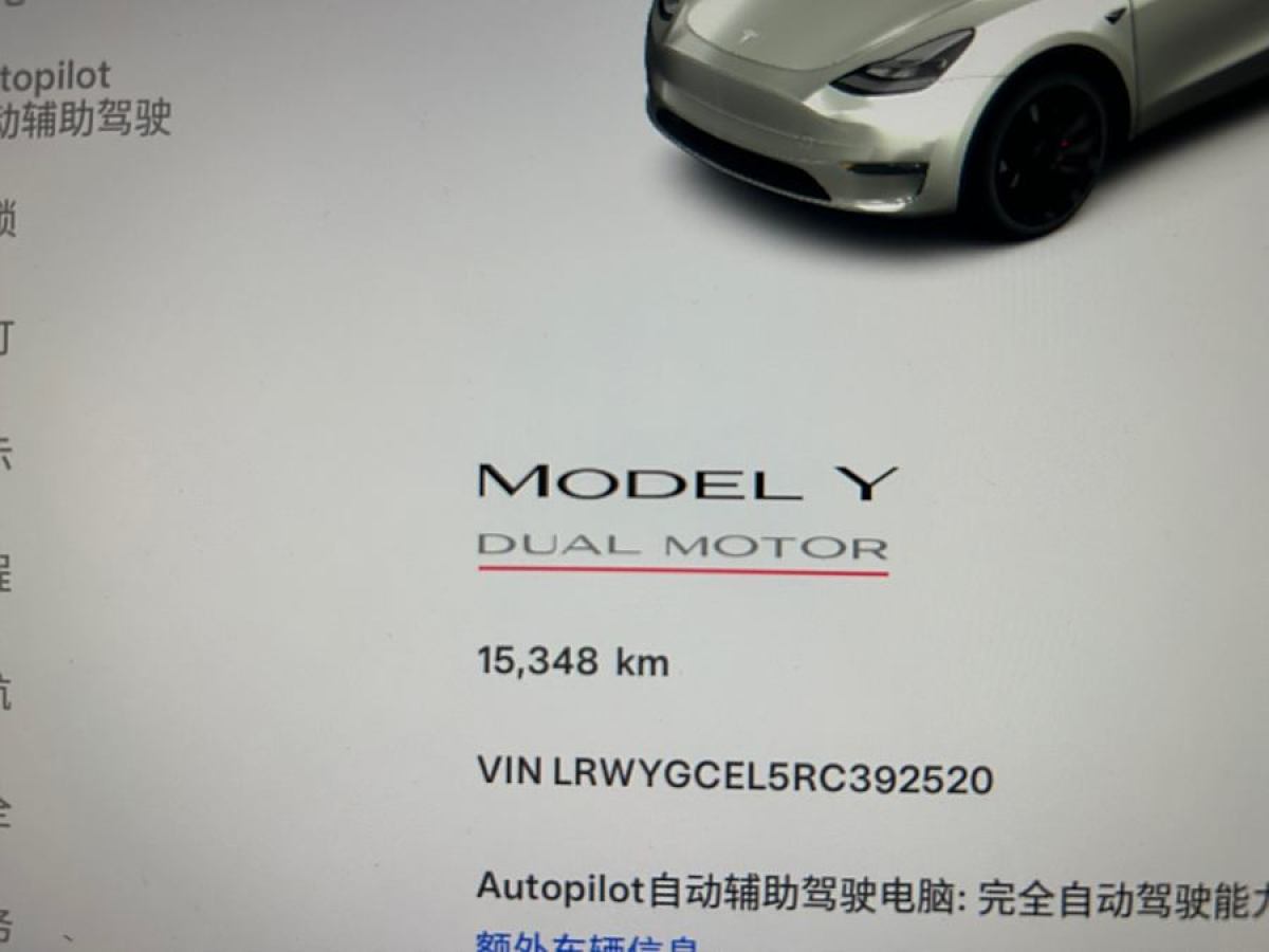 特斯拉 Model 3  2021款 改款 Performance高性能全輪驅(qū)動(dòng)版圖片