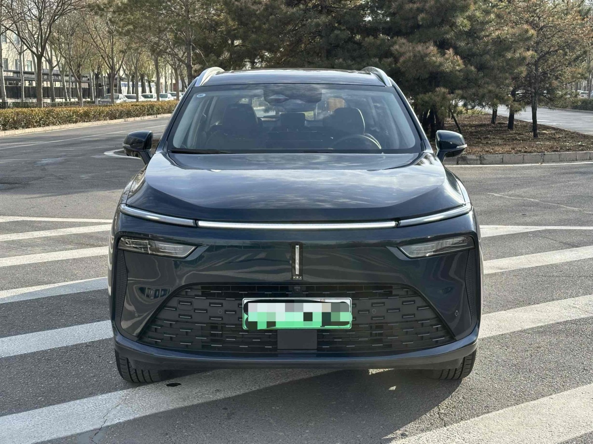 WEY 拿鐵DHT-PHEV  2022款 1.5T 四驅(qū)超大杯圖片