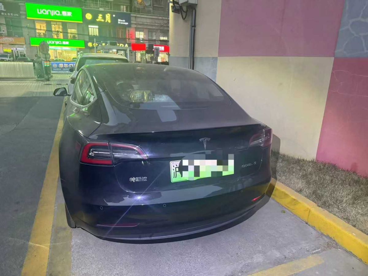 特斯拉 Model 3  2020款 標(biāo)準(zhǔn)續(xù)航后驅(qū)升級版圖片