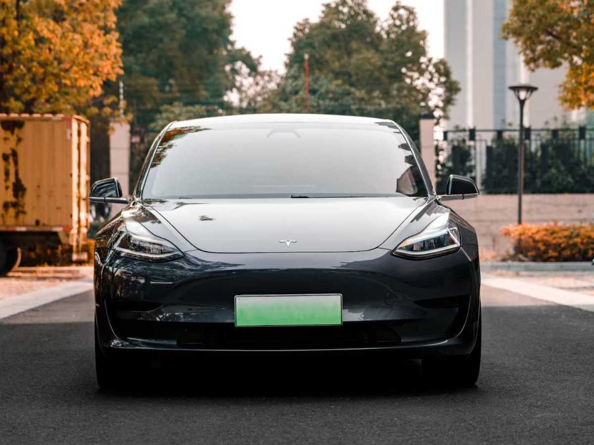 特斯拉 Model 3  2019款 標(biāo)準(zhǔn)續(xù)航后驅(qū)升級(jí)版圖片