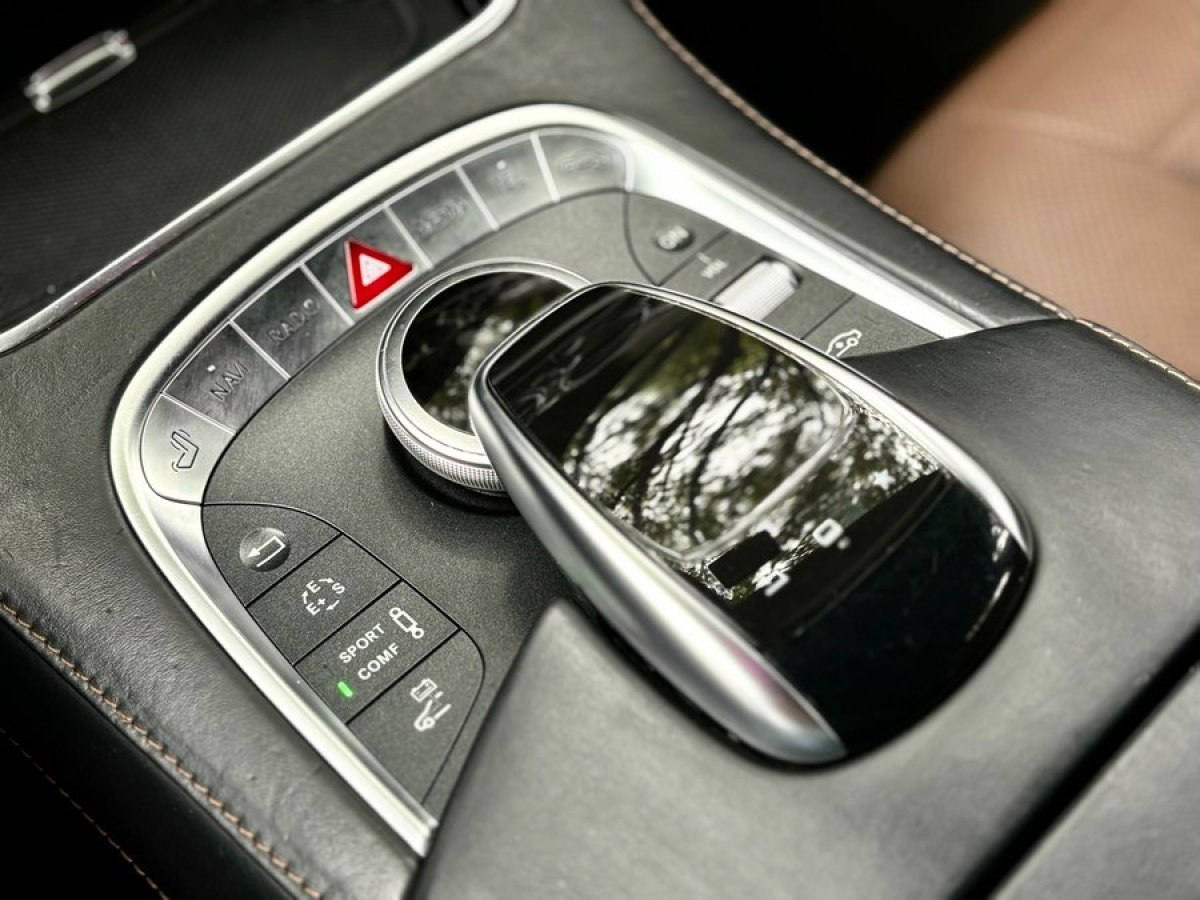 奔驰 奔驰S级新能源  2016款 S 500 eL图片