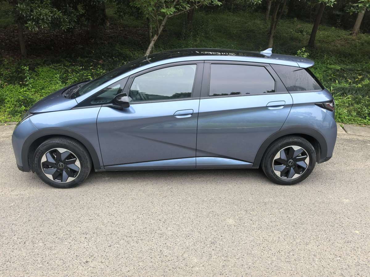 比亞迪 海豚  2024款 榮耀版 420km 時尚版圖片