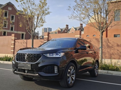 2019年6月 WEY VV6 2.0T 兩驅(qū)超豪型 國VI圖片