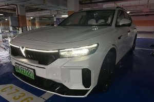 嵐圖FREE 嵐圖 318 318km 后驅(qū)環(huán)游版