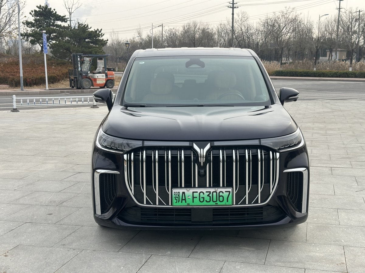 嵐圖 夢(mèng)想家  2024款 PHEV 超長(zhǎng)續(xù)航旗艦版圖片