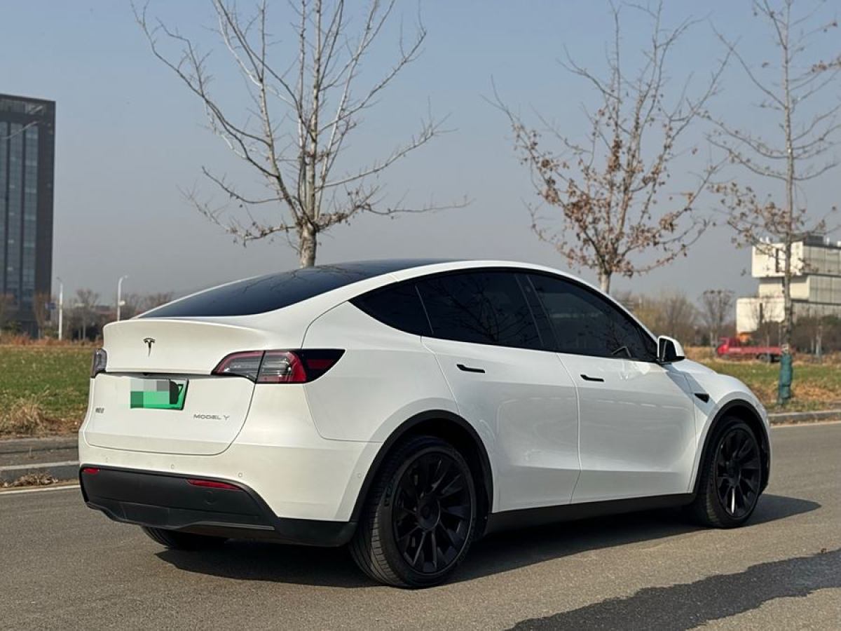 特斯拉 Model Y  2021款 改款 長(zhǎng)續(xù)航全輪驅(qū)動(dòng)版圖片