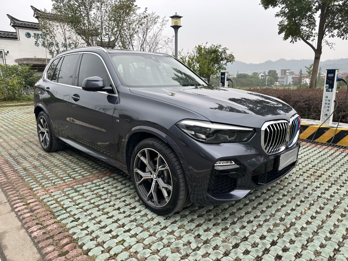 寶馬 寶馬X5  2020款 xDrive30i X設(shè)計(jì)套裝圖片