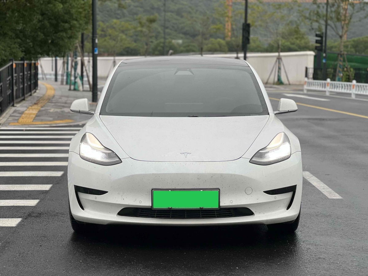 2020年11月特斯拉 Model 3  2019款 標(biāo)準續(xù)航后驅(qū)升級版