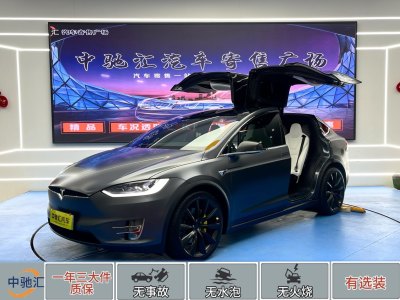 2019年3月 特斯拉 Model X Model X 100D 長(zhǎng)續(xù)航版圖片