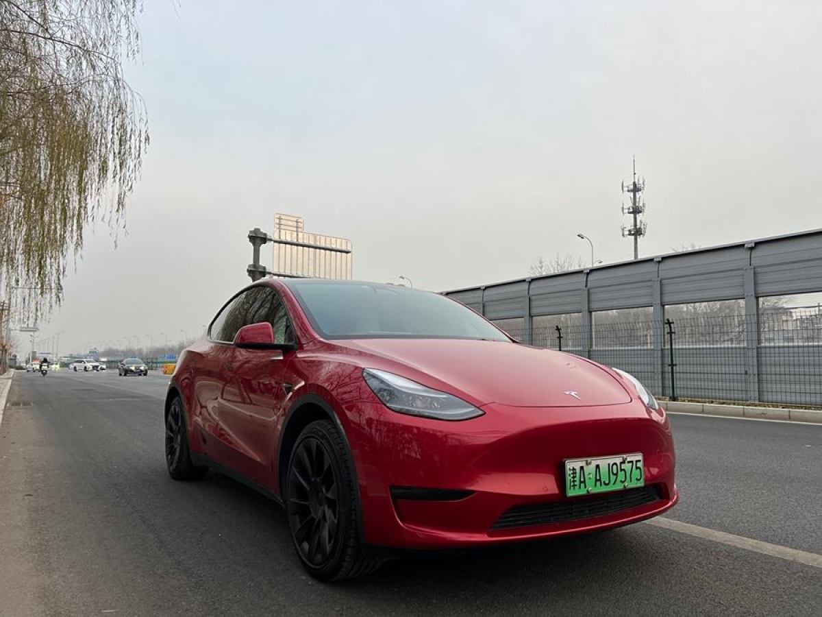 特斯拉 Model 3  2020款 改款 長續(xù)航后輪驅(qū)動版圖片