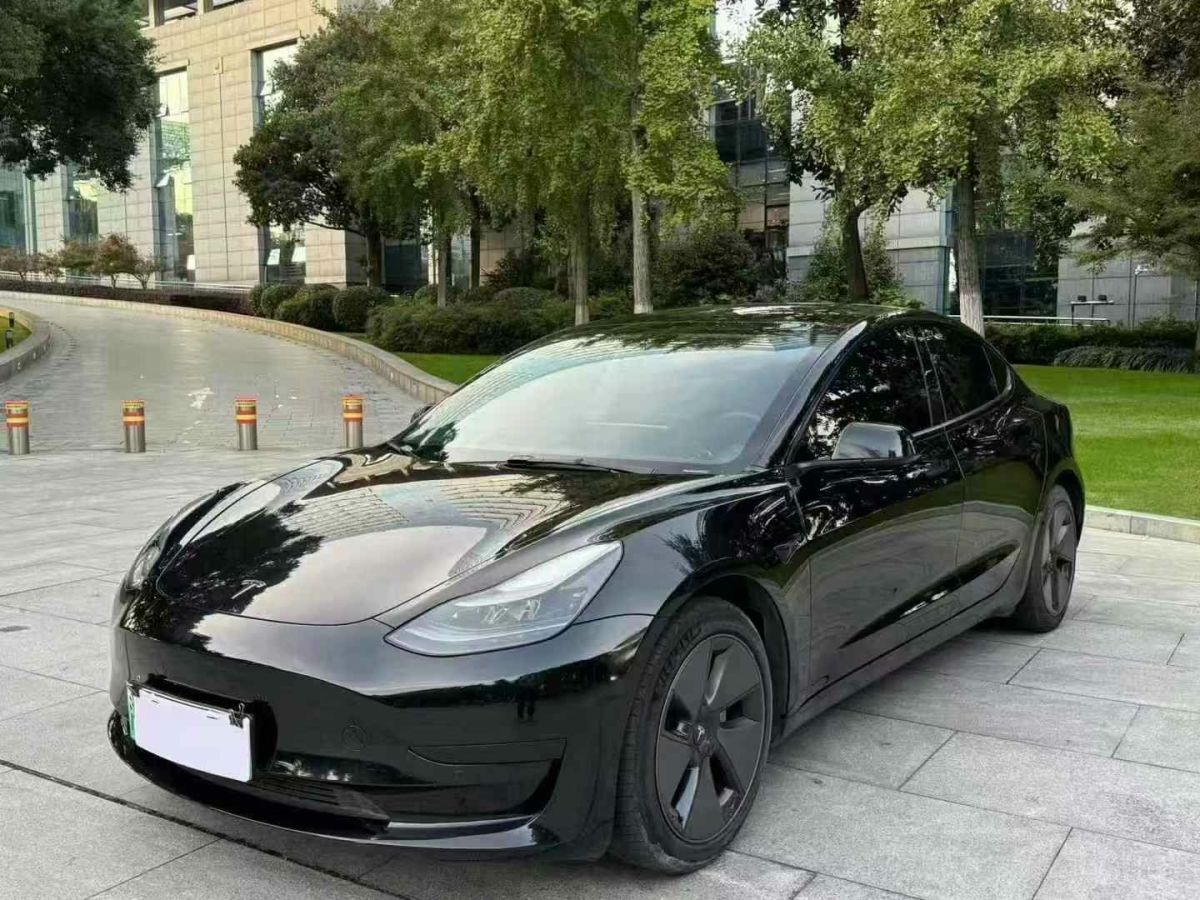 特斯拉 Model X  2020款 Performance 高性能版圖片