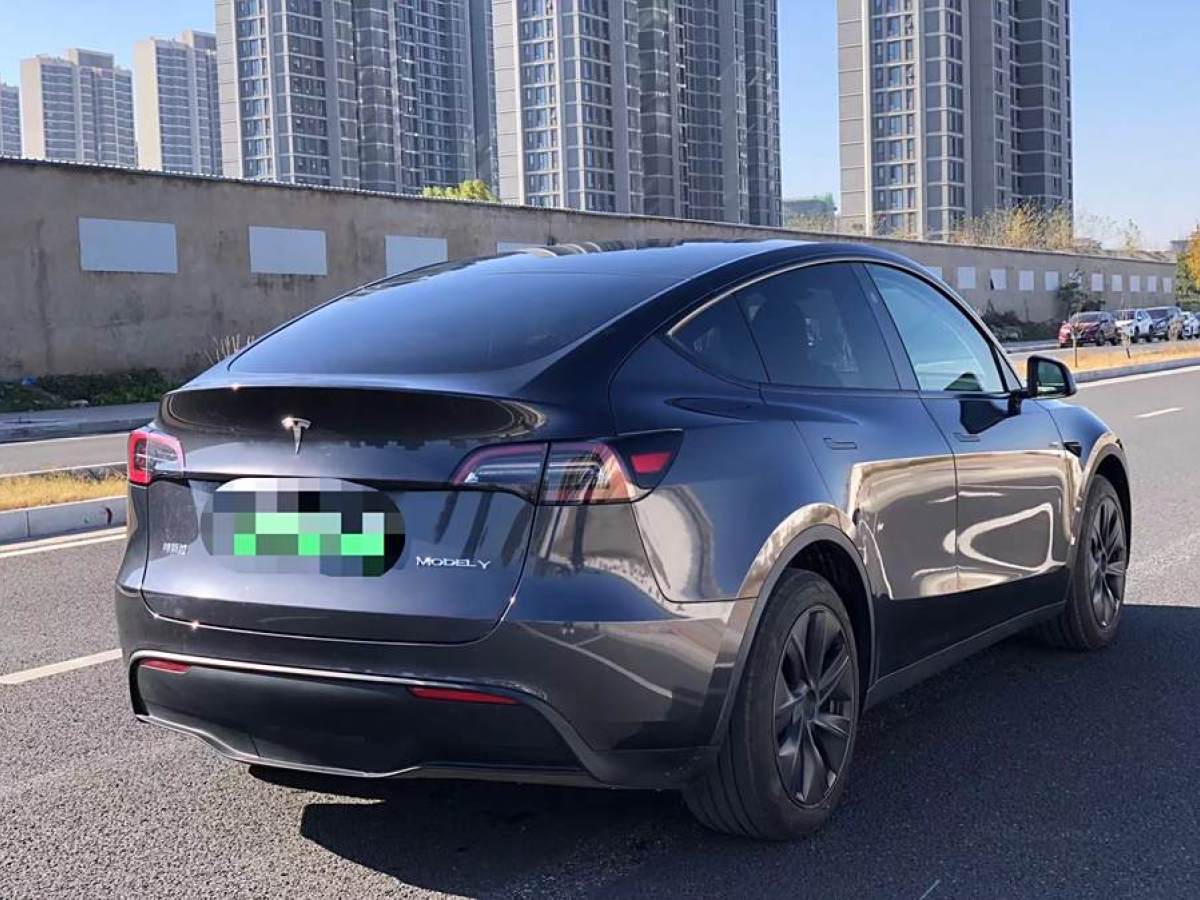 特斯拉 Model 3  2020款 改款 長續(xù)航后輪驅(qū)動版圖片