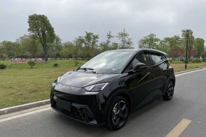 海鷗 比亞迪 榮耀版 405km 飛翔版