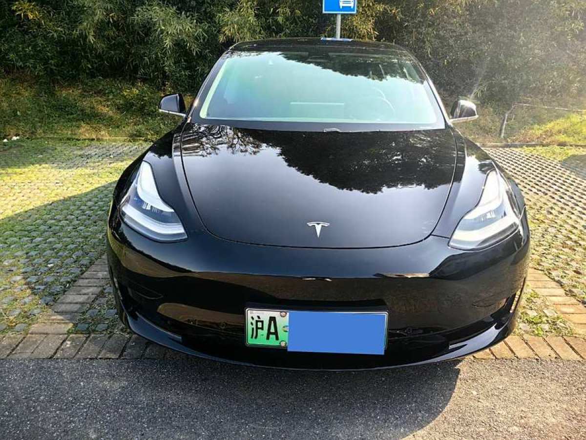 特斯拉 Model 3  2020款 改款 標(biāo)準(zhǔn)續(xù)航后驅(qū)升級(jí)版圖片