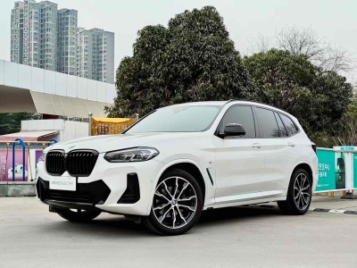 2023年6月 寶馬 寶馬X3 xDrive30i 領(lǐng)先型 M曜夜套裝圖片