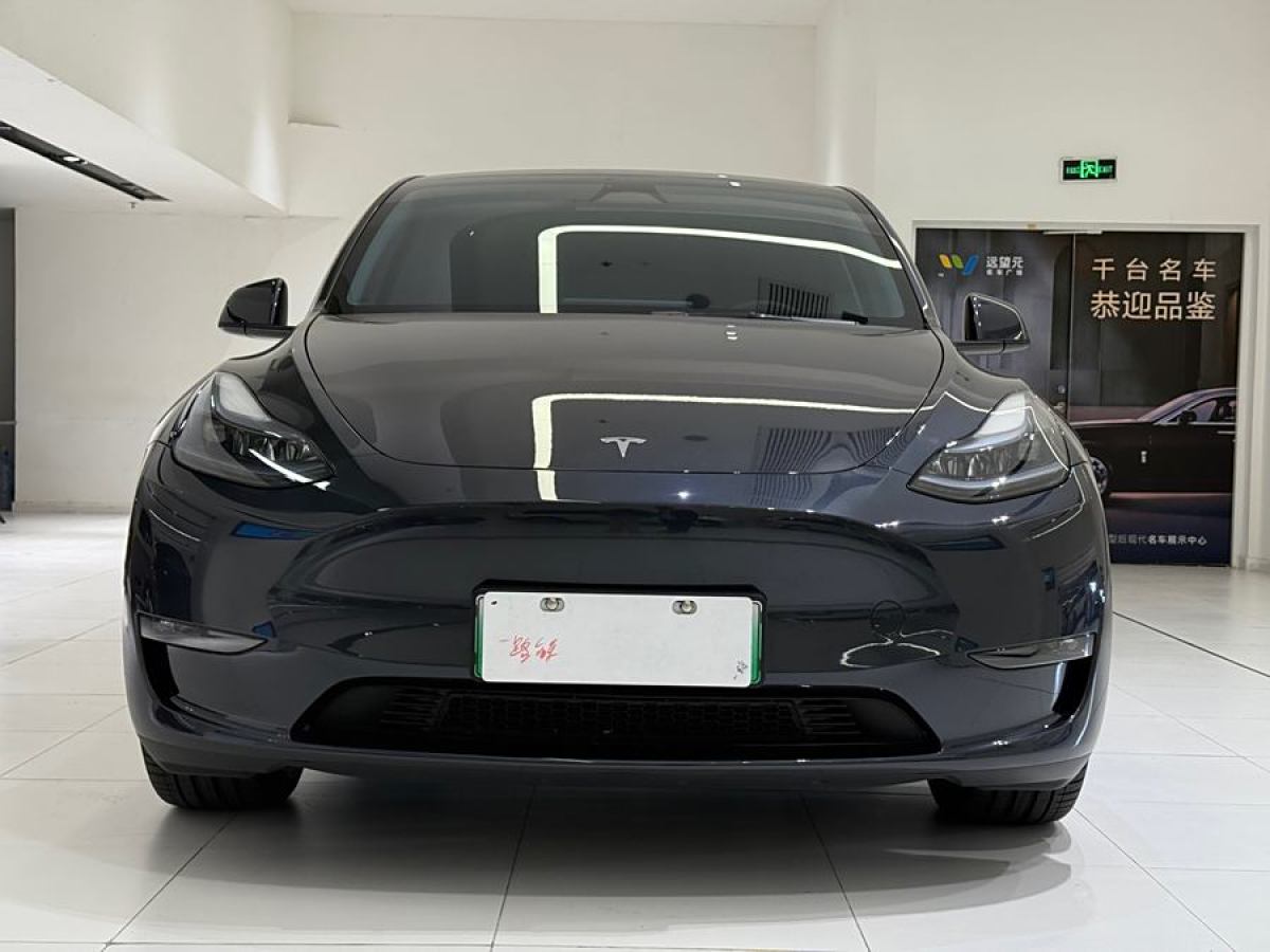 特斯拉 Model 3  2021款 改款 Performance高性能全輪驅(qū)動版圖片