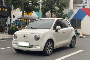 歐拉黑貓 歐拉 2021款 351km 豪華型