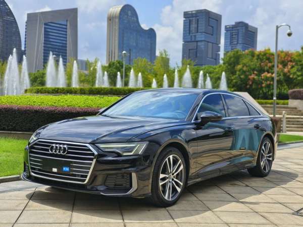 奥迪 奥迪A6L  2020款 40 TFSI 豪华致雅型