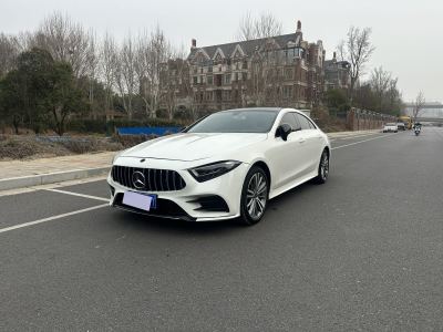 2020年8月 奔馳 奔馳CLS級(進口) 改款 CLS 300 動感型圖片