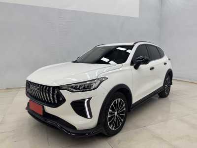 2024年8月 哈弗 哈弗赤兔 1.5T 動感型圖片