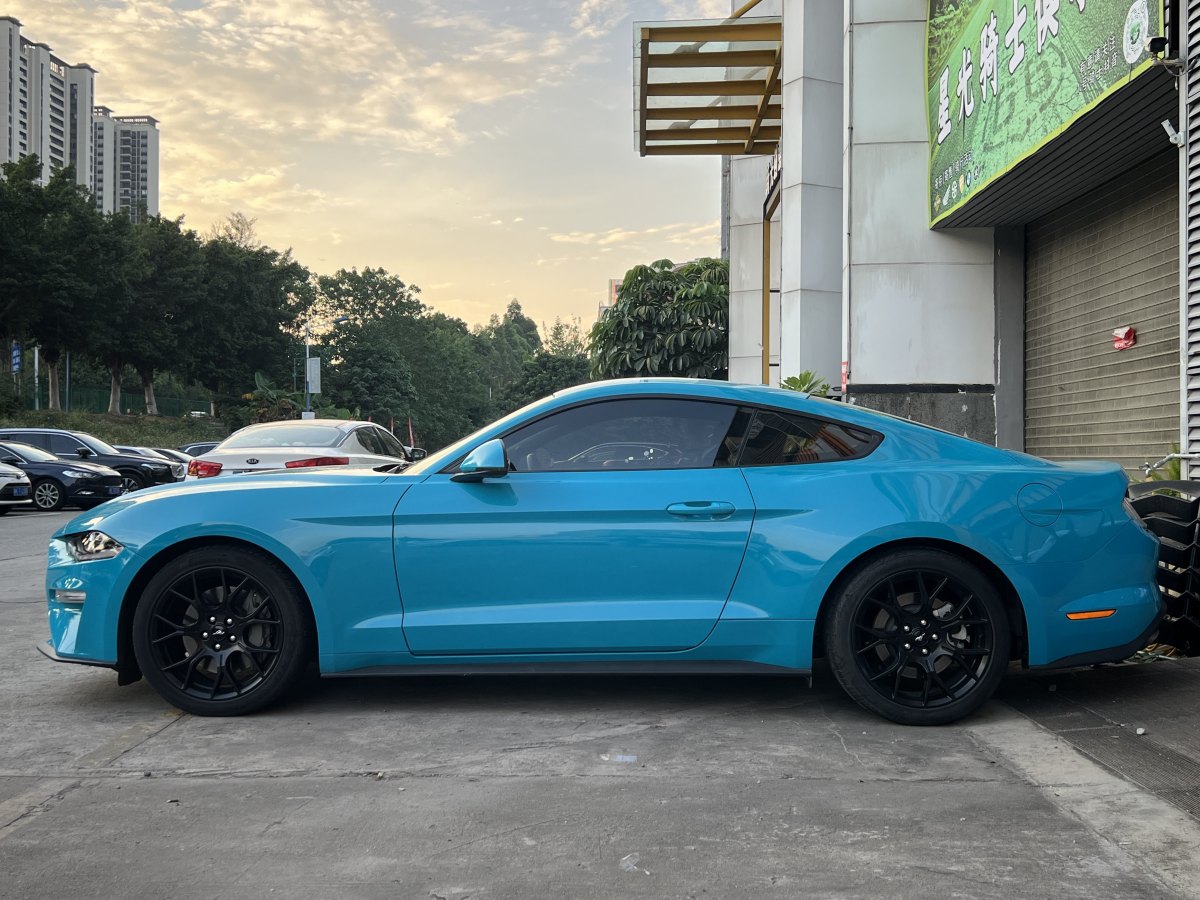 福特 Mustang  2020款 2.3L EcoBoost圖片