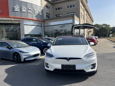 特斯拉 Model X Model X 90D圖片